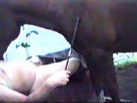 Horse sucking the dick of gay and have horse sex